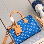 Speedy Bandouli è re 25 Monogram leather handbag