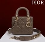 Dior M0538 Lady Diana Four Grid Sheepskin