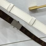 Louis Vuitton belt collection