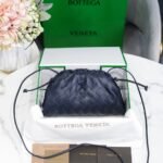 Bottega Venetacloud bag