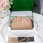 Bottega Venetacloud bag