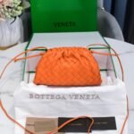 Bottega Veneta cloud bag