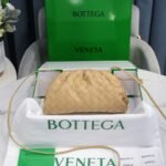 Bottega Venetacloud bag