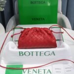 Bottega Venetacloud bag