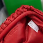 Bottega Venetacloud bag - Image 8