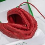 Bottega Venetacloud bag - Image 6