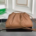 Bottega Venetacloud bag