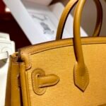 Birkin Cargo25cm  ❤️  Canvas Sesame Silver Buckle - Image 7