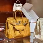 Birkin Cargo25cm  ❤️  Canvas Sesame Silver Buckle - Image 2