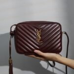 Lou Camera Bag _ Date RedThe top imported Italian cowhide camera bag