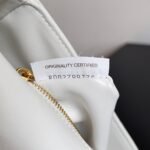 Bottega Veneta's new mini andiamobag - Image 8