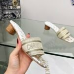 dior mid-heel slippers