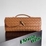 Bottega Veneta dinner baghandbag
