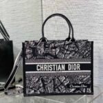 Dior Tote's latest autumn and winter Paris map series