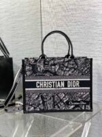 Dior Tote's latest autumn and winter Paris map series