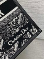 Dior Tote's latest autumn and winter Paris map series - Image 3