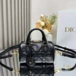 DioGroove 20 handbag