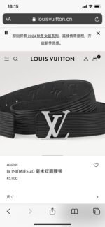 Louis Vuitton belt collection - Image 8