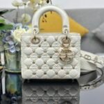 Lady Dior My  Four grid dragonfly nails are