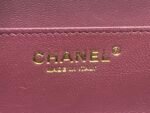 CHANEL24K autumn and winter new product makeup bag - Image 8
