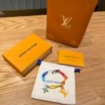 Louis Vuitton Limited Edition Rainbow Colorful Bracelet