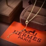 Hermes series new necklace - Image 4